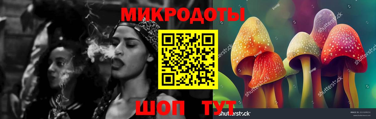 Псилоцибиновые грибы MAGIC MUSHROOMS  Вход с VPN  Элиста  Галлюциногенные грибы Psilocybe 